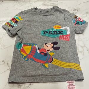 Disney Play in the Park shirt